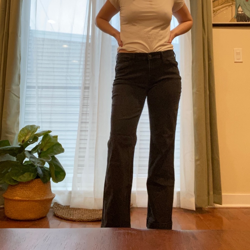 Eddie Bauer curvy flare trouser